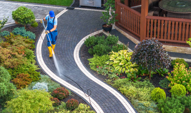 Best Pressure Washing Driveway  in Townsend, DE